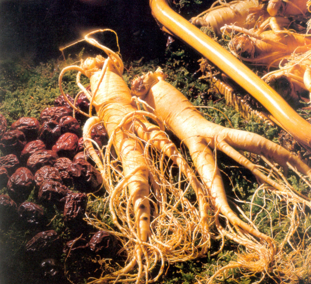 Ginseng