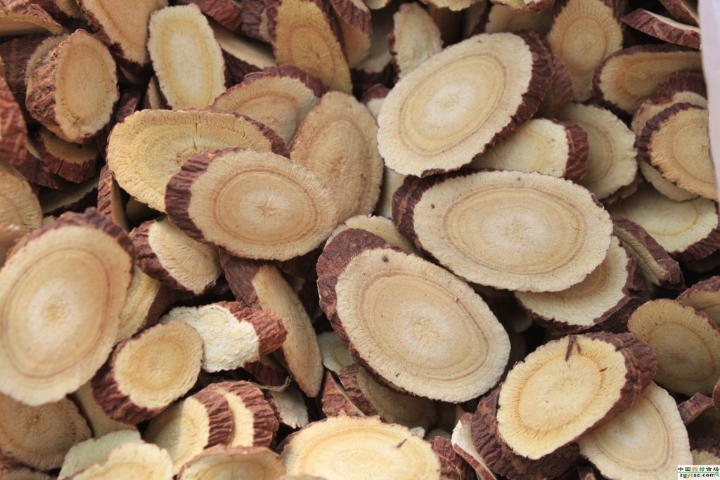 Favorite Chinese Herbs and Their Uses La Vie Zine