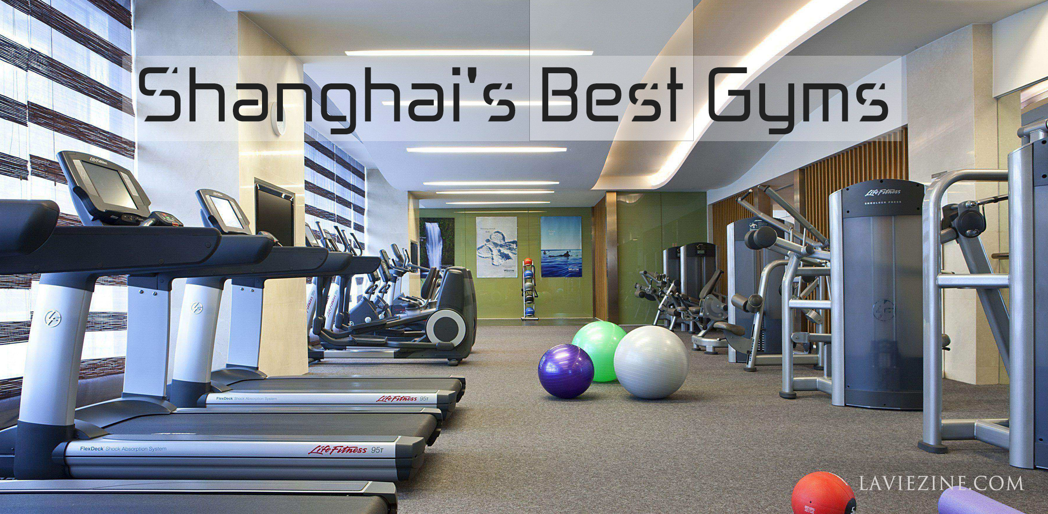 Shanghai's Best Gyms La Vie Zine