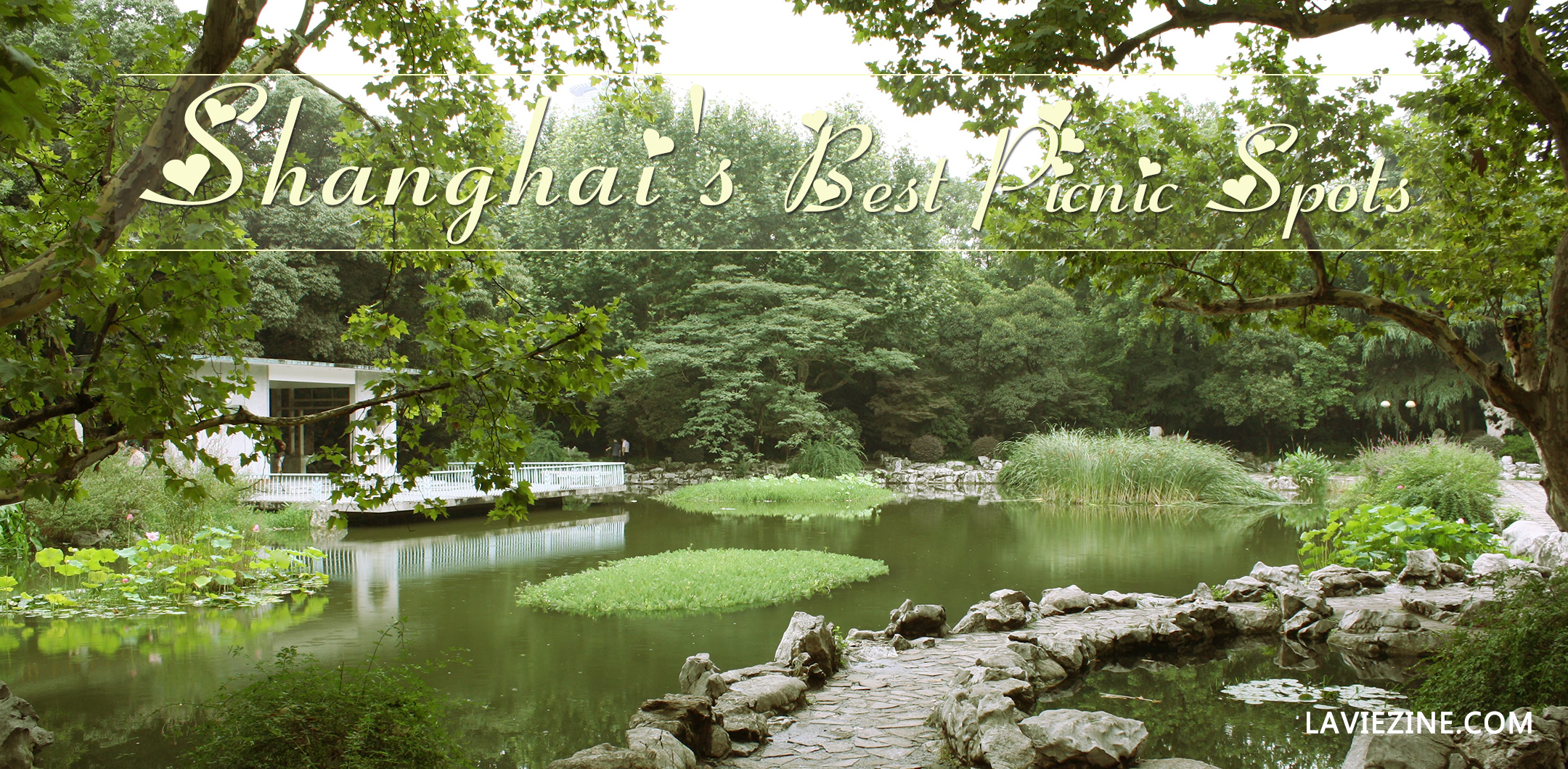 Shanghai's Best Picnic Spots La Vie Zine