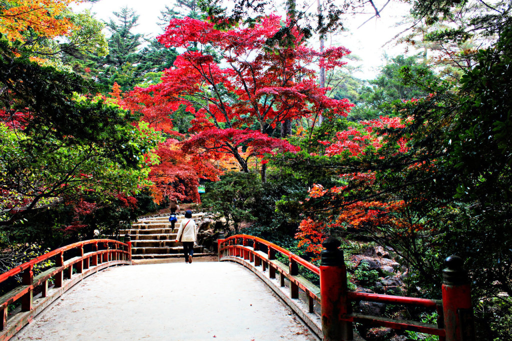 Miyajima, Japan2