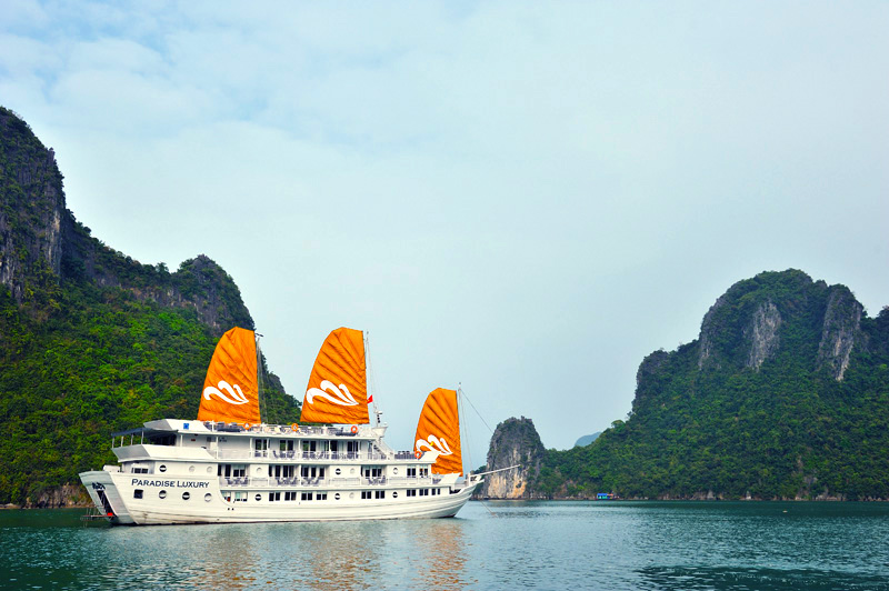 Amazing Halong Bay Cruises