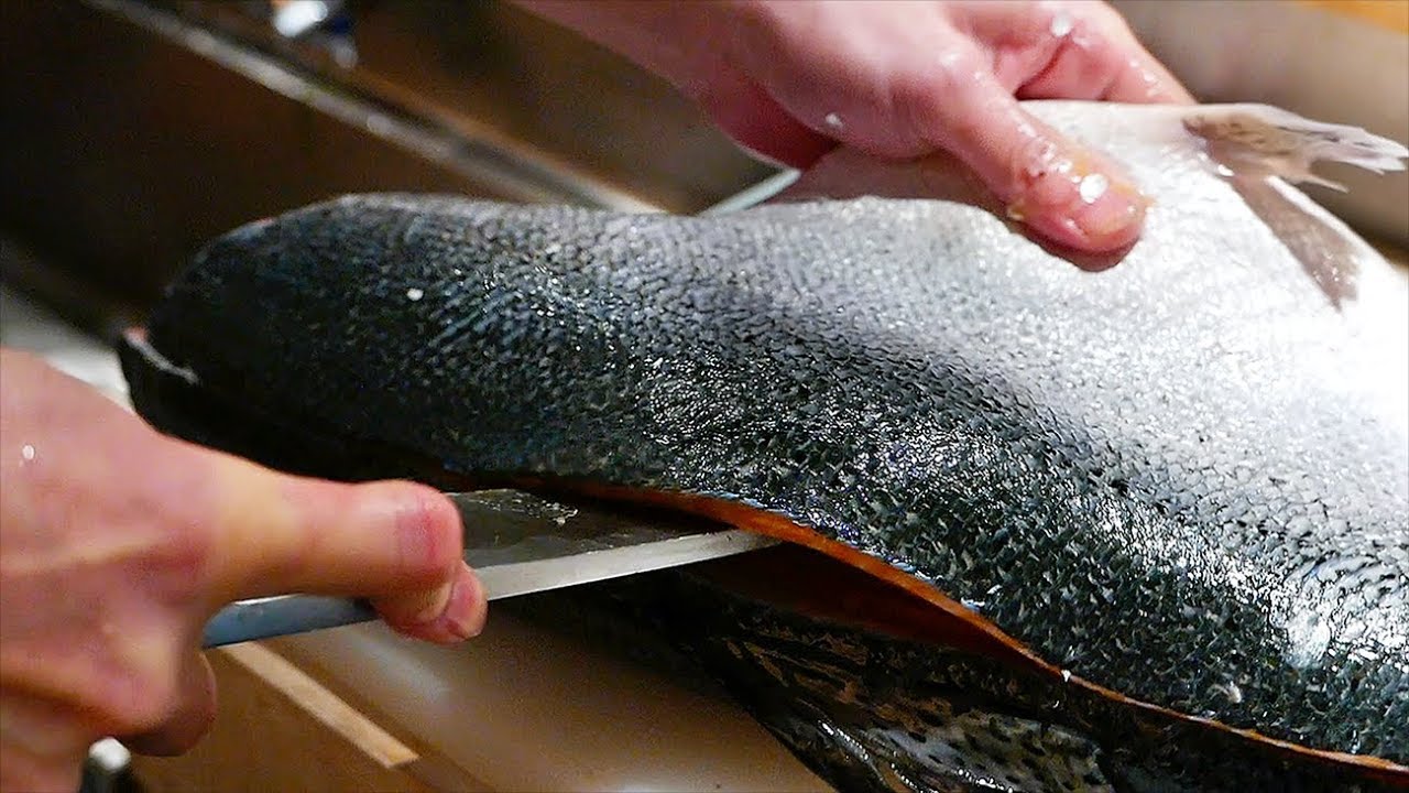 Japanese Food FISH CUTTING SKILLS Salmon, Mackerel, Squid Sushi Kyoto
