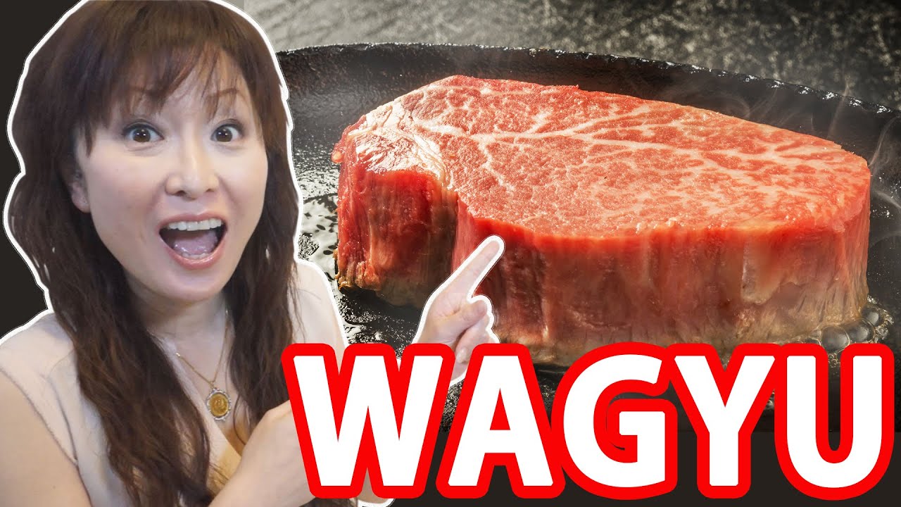 Japan Guide Do you know WAGYU? What WAGYU is Japan Travel Guide La Vie Zine