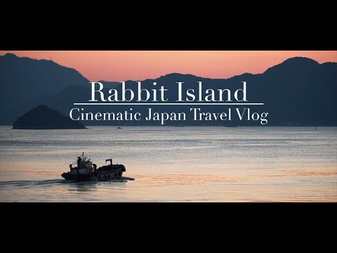 So. Many. Cute. Rabbits | Cinematic Japan Travel Vlog: Takehara and ...