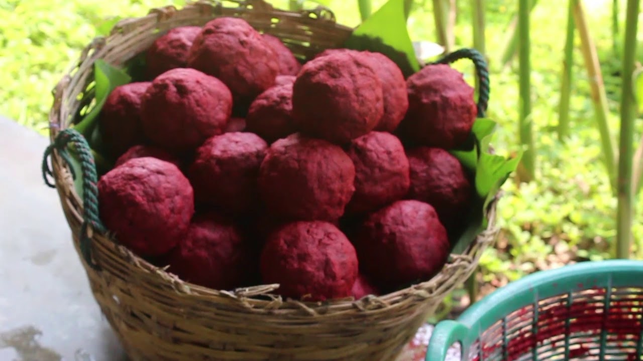 Making of Paper with Elephant Poop in Thailand. La Vie Zine