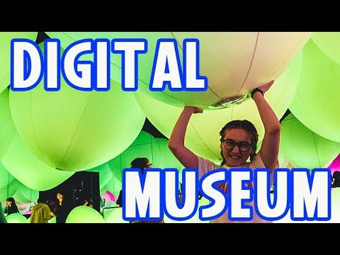 Japan Trip Must See! Digital Arts Museum #teamLabBorderless