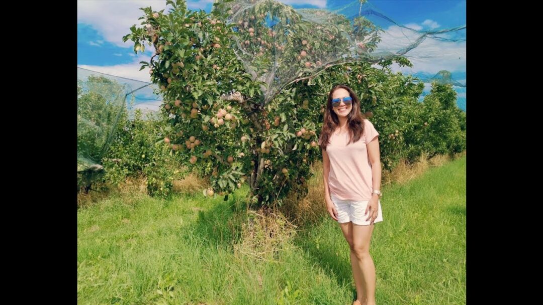 Apple Picking (Quick Before We Get Caught) 😂🍏🍎