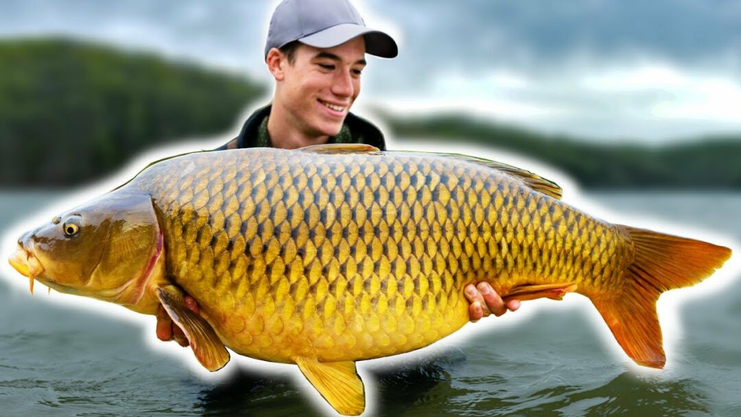 Carp Fishing The Greatest Carp Lake In The World? La Vie Zine