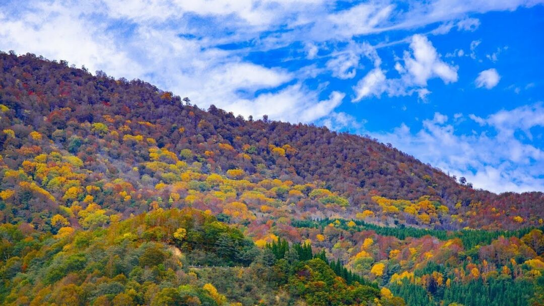 THE BEST TRAVEL DESTINATIONS IN JAPAN IN OUR CAMPER VAN! LAKE TOWADA-KO, NIIGATA & AKITA!