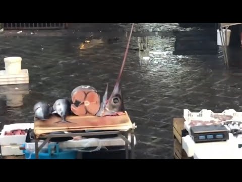 Catania in 10 Minutes (Amazing Places to Visit) Summer 2019 New