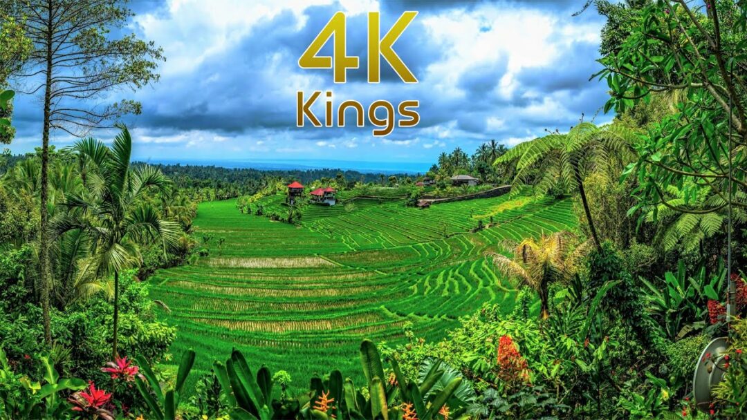 Beautiful Indonesia Village And Rice Terraces In 4K HDR 60fps