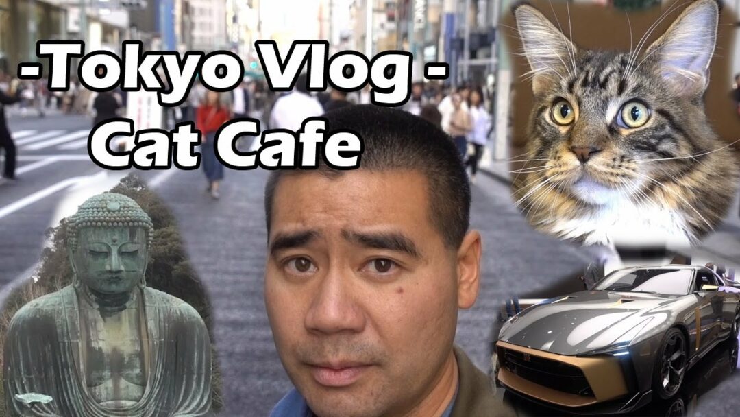 Tokyo Vlog Visiting a Cat Cafe Yokohama and Kamakura Tokyo Vlog Visiting a Cat Cafe Yokohama and Kamakura