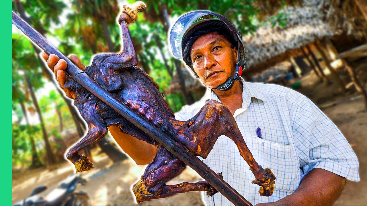 Asia's Rare EXOTIC Cuisine!!! (Would you try it??) - La Vie Zine