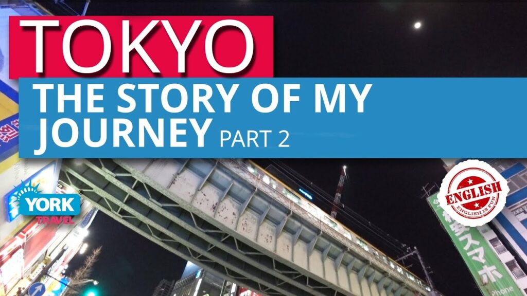 Japan travel vlog. The story of my journey to Tokyo. Part 2. Akihabara. Chapter 2.