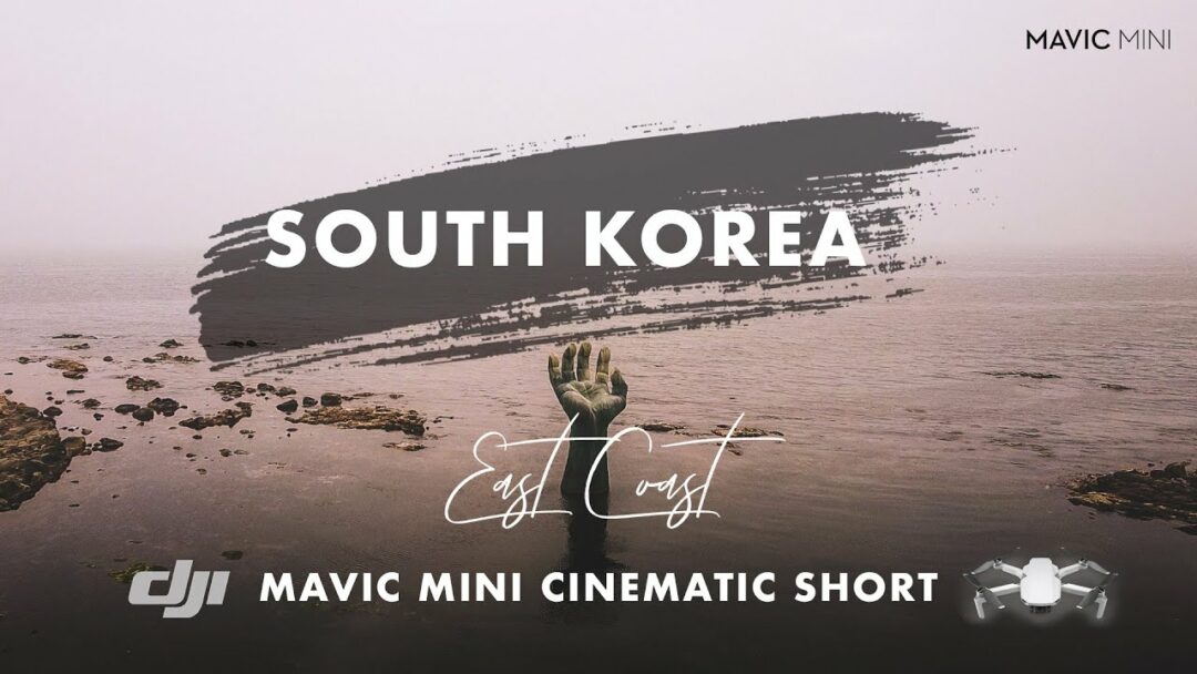 South Korea ROADTRIP + Mavic Mini DRONE TRAVEL Video || Samcheok, Pohang (영일대 전망대, 호미곶)