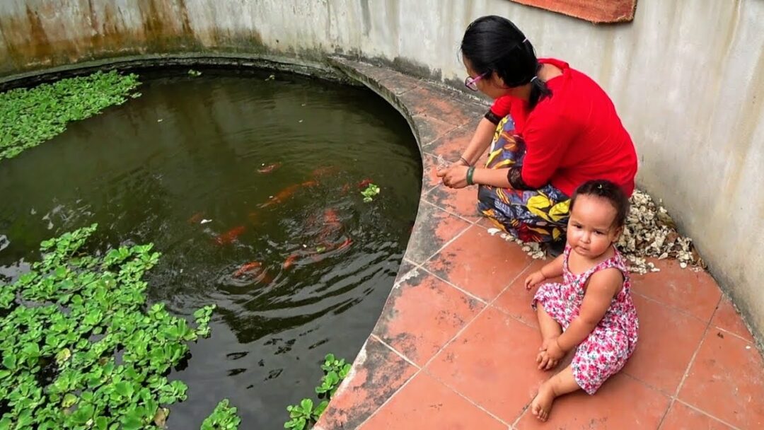 Feeding the Goldfish | Meigo Märk Vlog