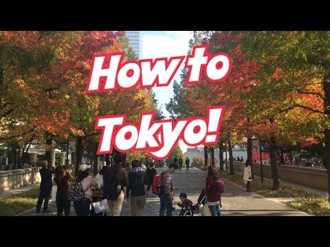 Where to go in Tokyo Part 1(Asakusa, Tokyo Dome City, Akihabara, Ikebukuro)