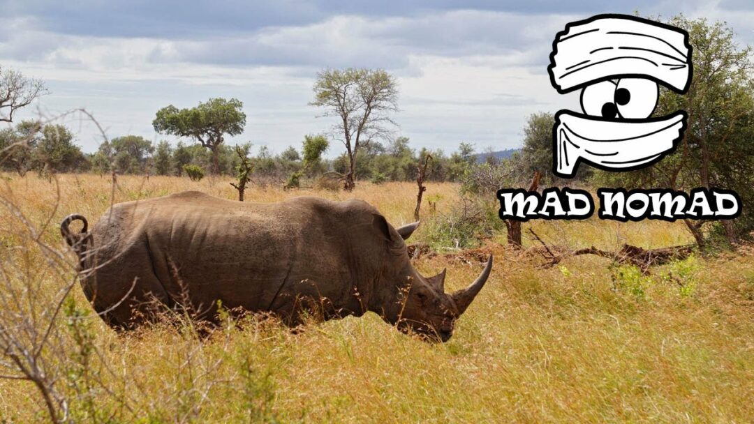 South Africa motorcycle trip, Part 4/4 - mad nomad