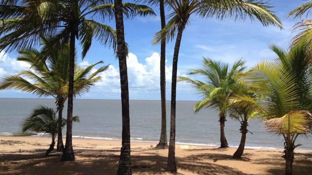 ✈️4 minutes Guyane - French Guiana, South America - RoadTrip (HD1326)