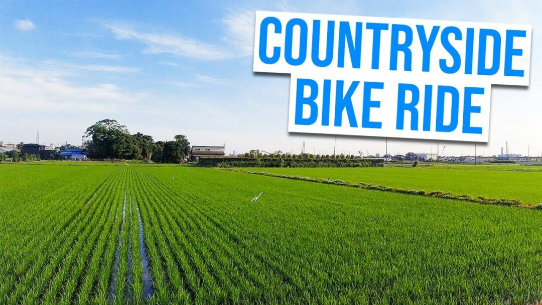 Countryside Bike Ride in Matsudo, Chiba | JAPAN BIKE RIDES 2020