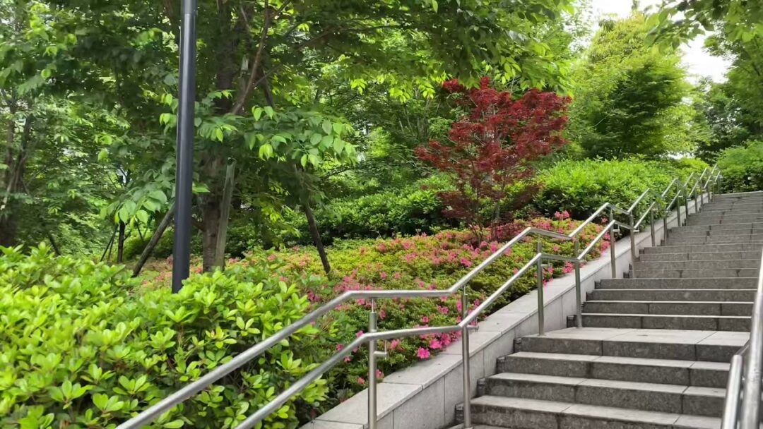 Tokyo Travel 東京 早朝公園散歩 人混みを避けて早朝の東京の公園を散歩 新緑の季節 都会の自然に癒される 大井町から歩く Japan Public Park Walk La Vie Zine