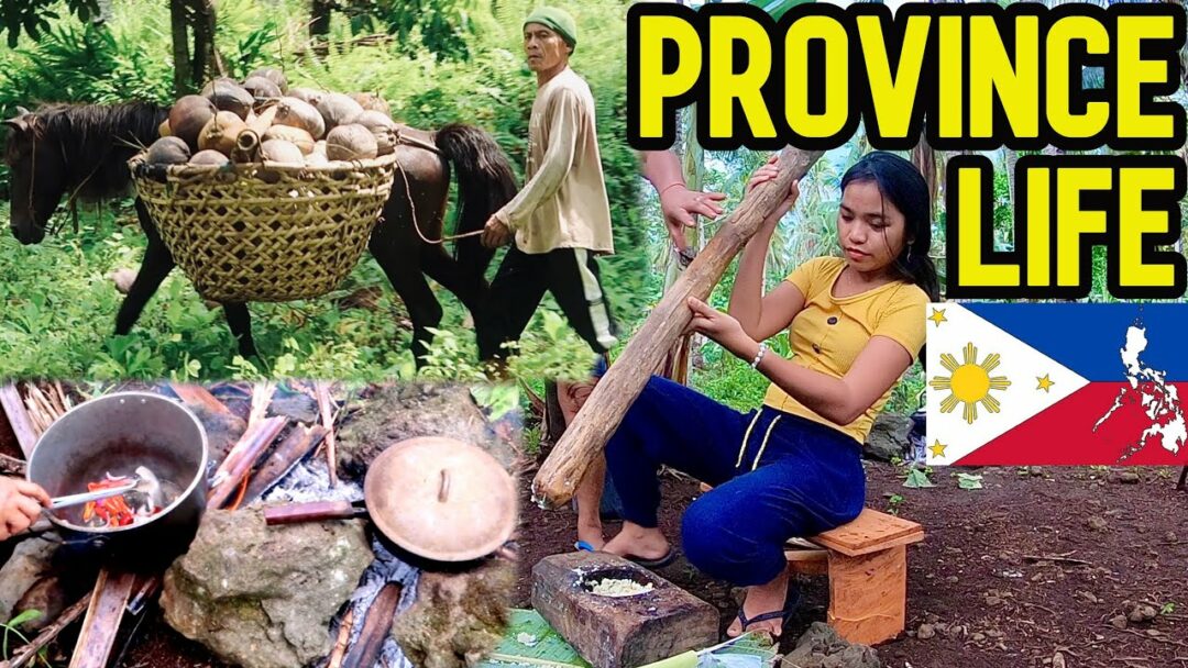 Life in the Province of Philippines | Exploring the forest | Mindanao Province business idea