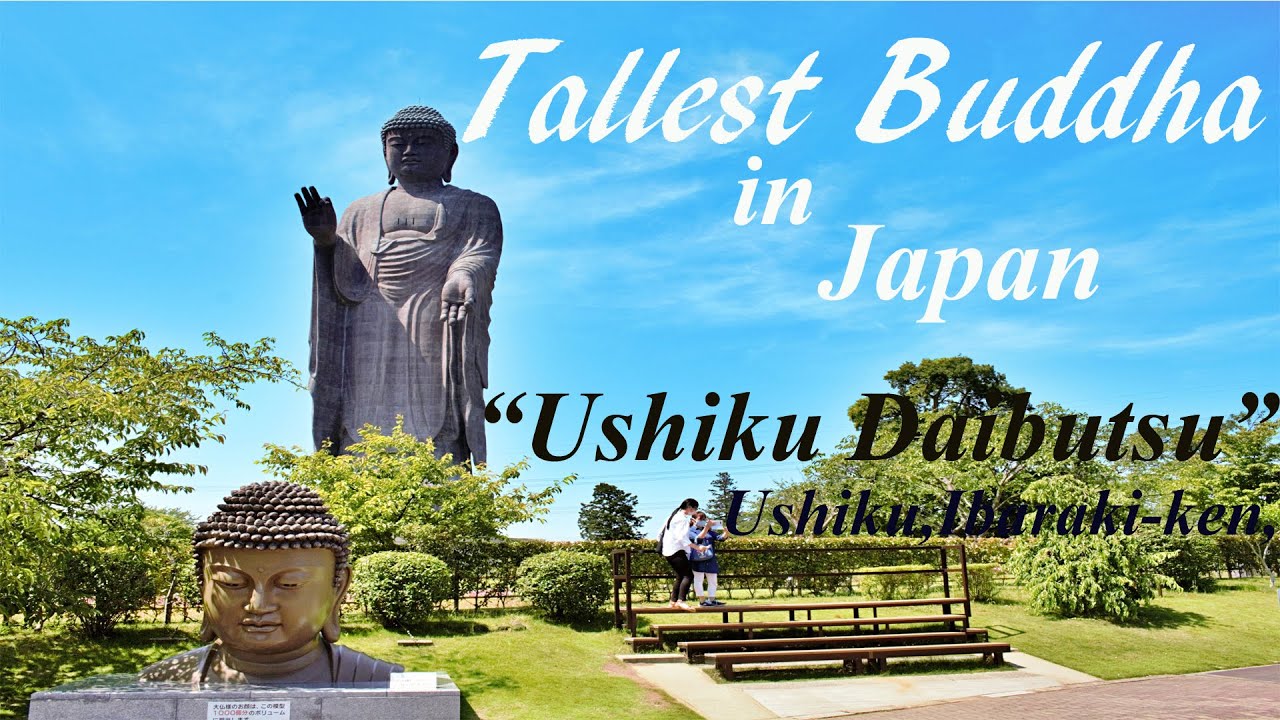 The Tallest Standing Buddha Statue in Japan Explained in Sinhala and English La Vie Zine