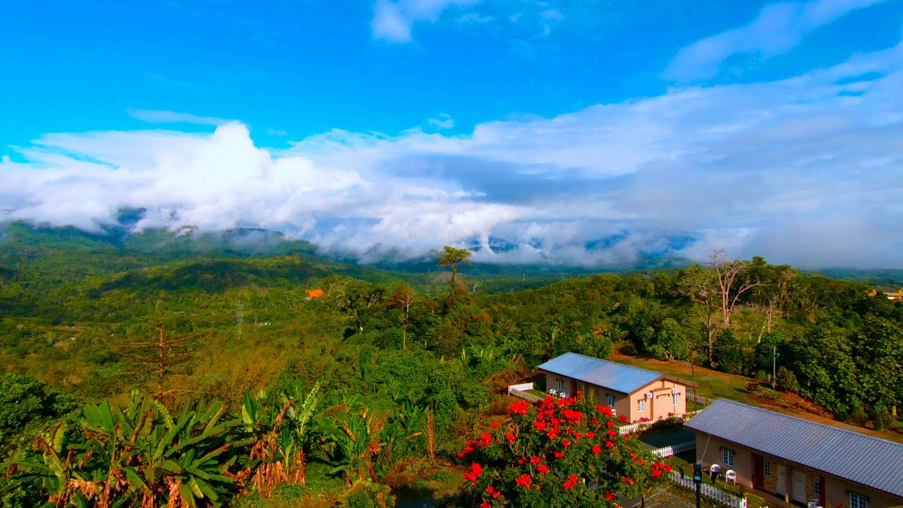 A tour of Kundasang & Ranau (inclusive of Sabah Tea Garden), Sabah