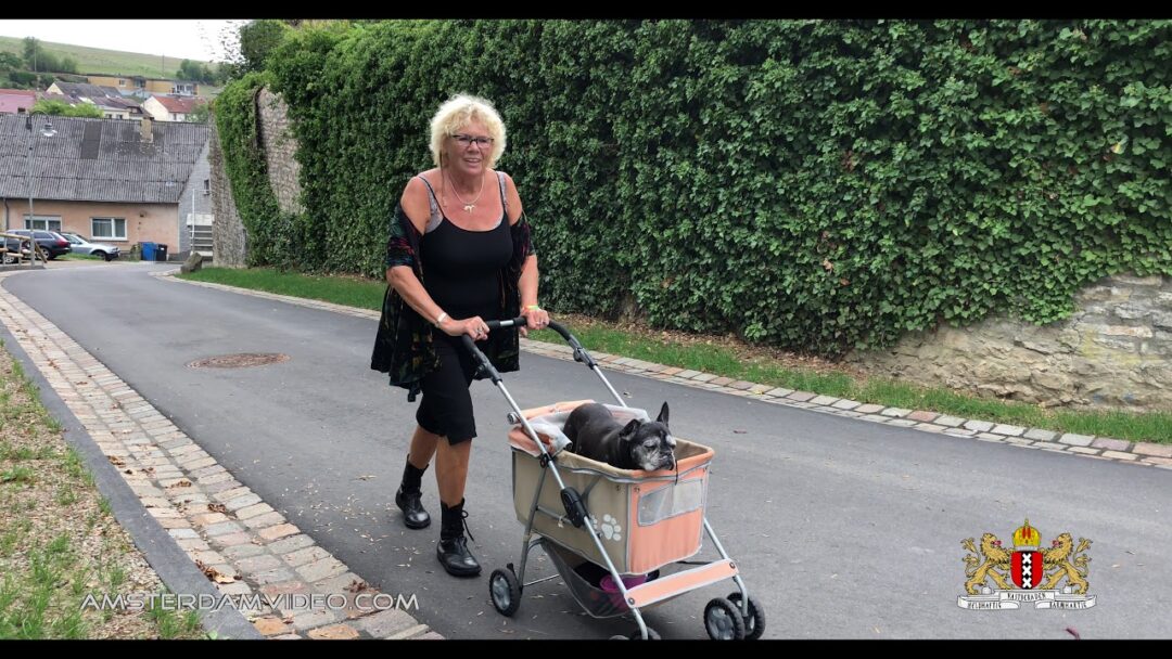 Eifel 2018 - Neuerburg, Dudeldorf, Kronenburg • 9.6.18 • Day 1727