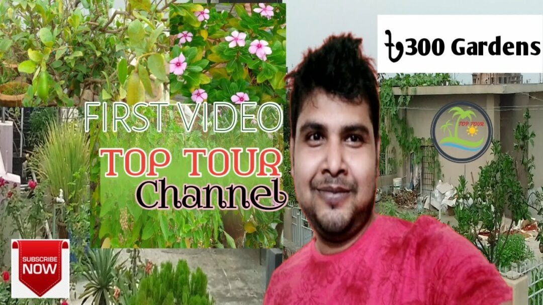 300/= Gardens | Roof Tour of The House | House Tour | Top Tour