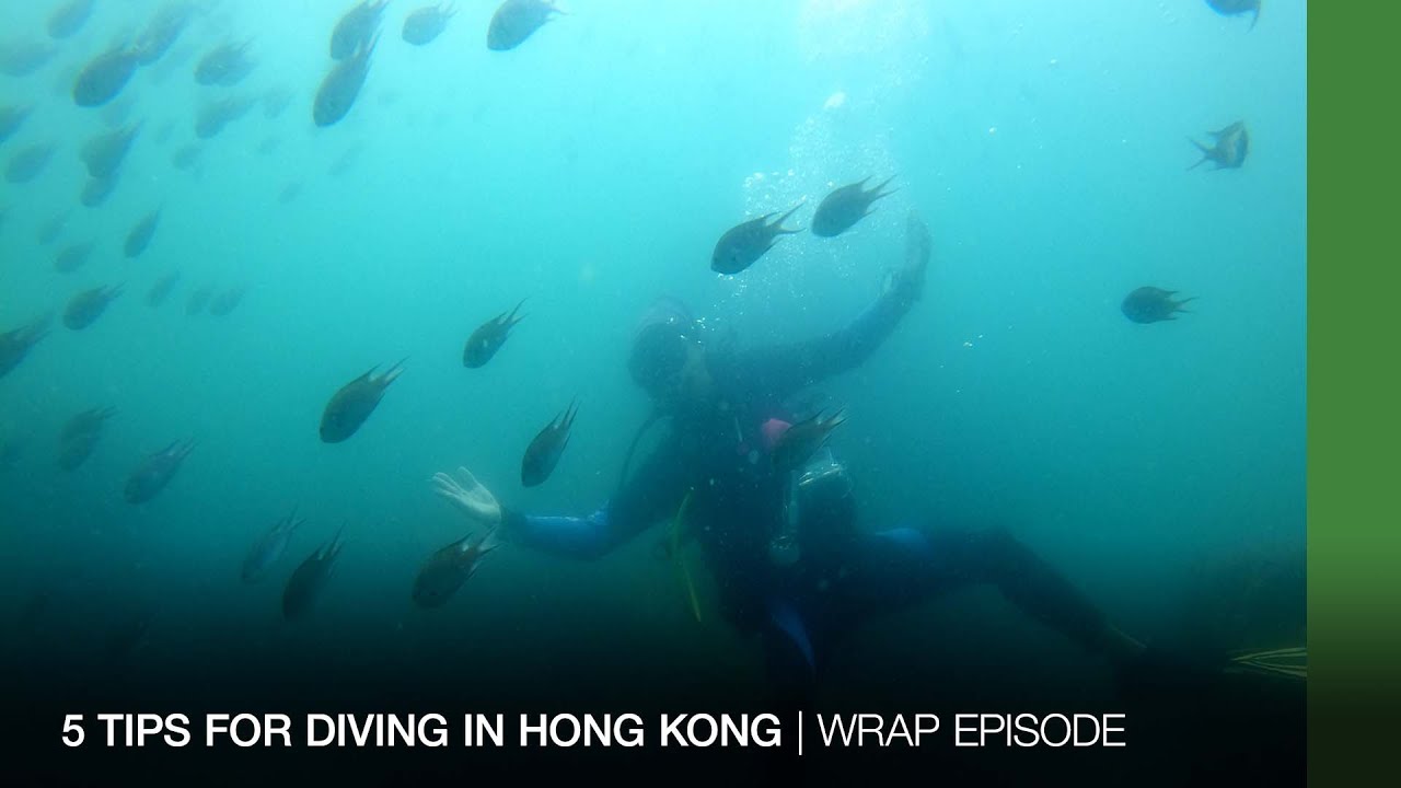 5 tips for scuba diving in Hong Kong DRONE AND PHONE La Vie Zine