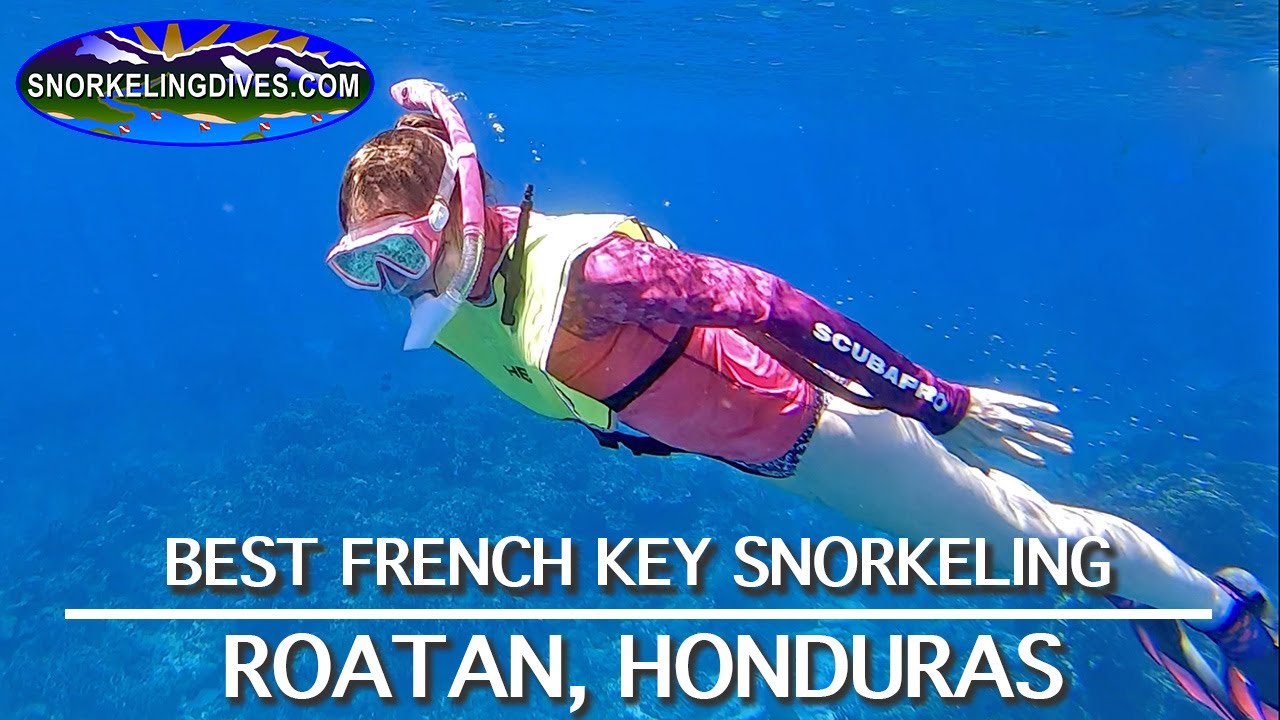 Best French Key Snorkeling Roatan La Vie Zine