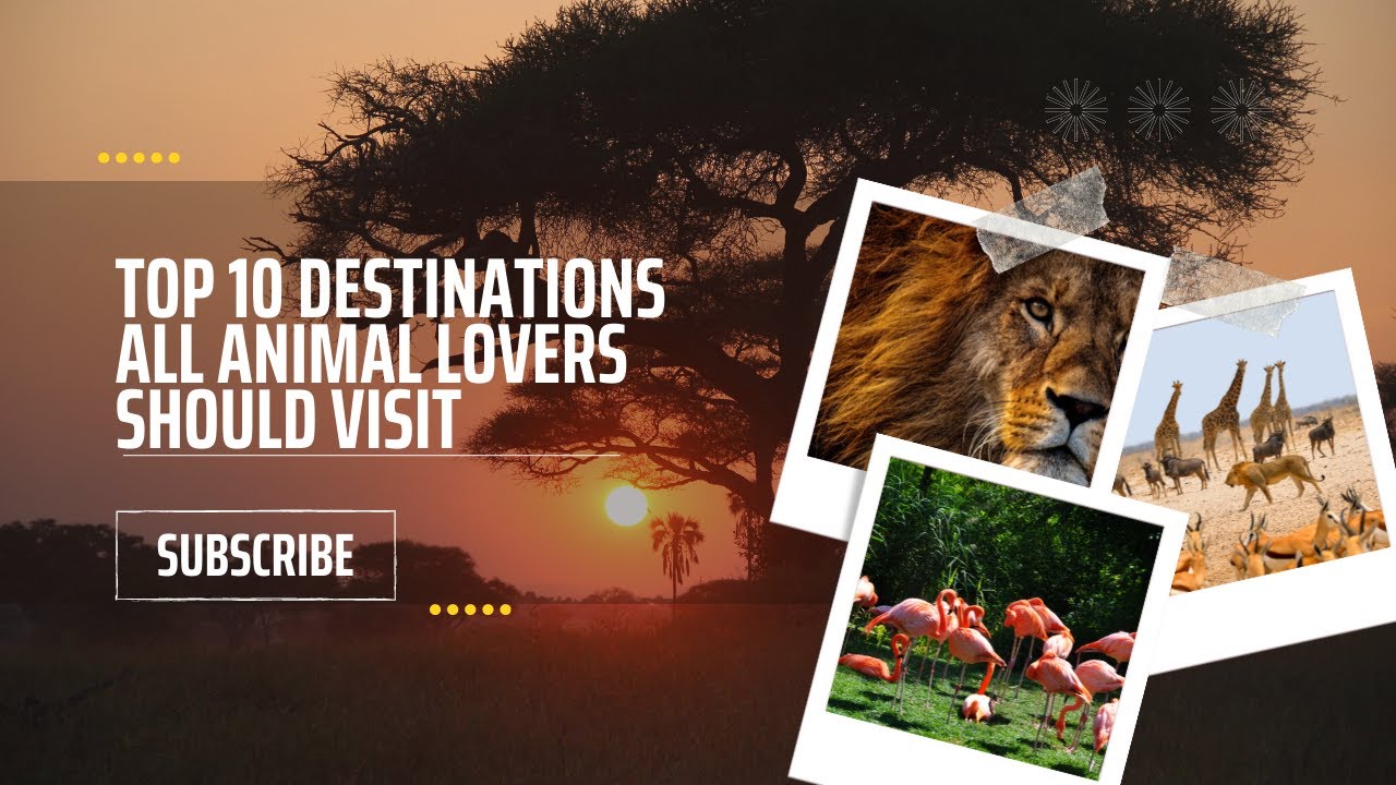 Top 10 Destinations All Animals Lovers should visit while Traveling