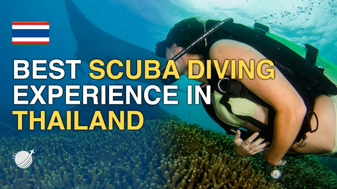 Top 10 Best Places In Thailand For Scuba Diving La Vie Zine