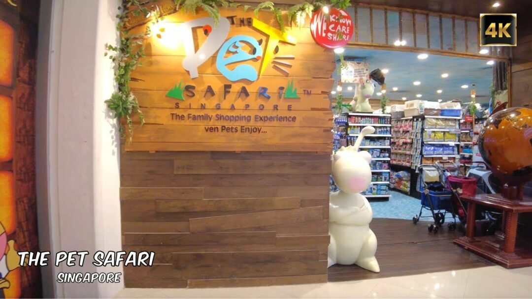 The Pet Safari Vivocity Weekend Walk Oct 2022 [4K] La Vie Zine