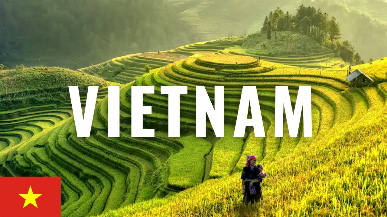 8 Fun Facts about Vietnam you really want to know! La Vie Zine