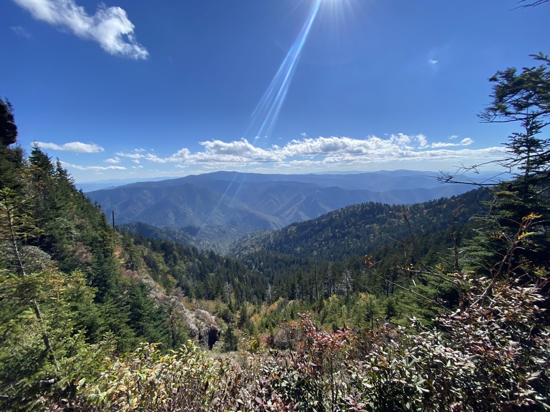 Pictures from recent hike in Gatlinburg, Alum Cave Trail La Vie Zine