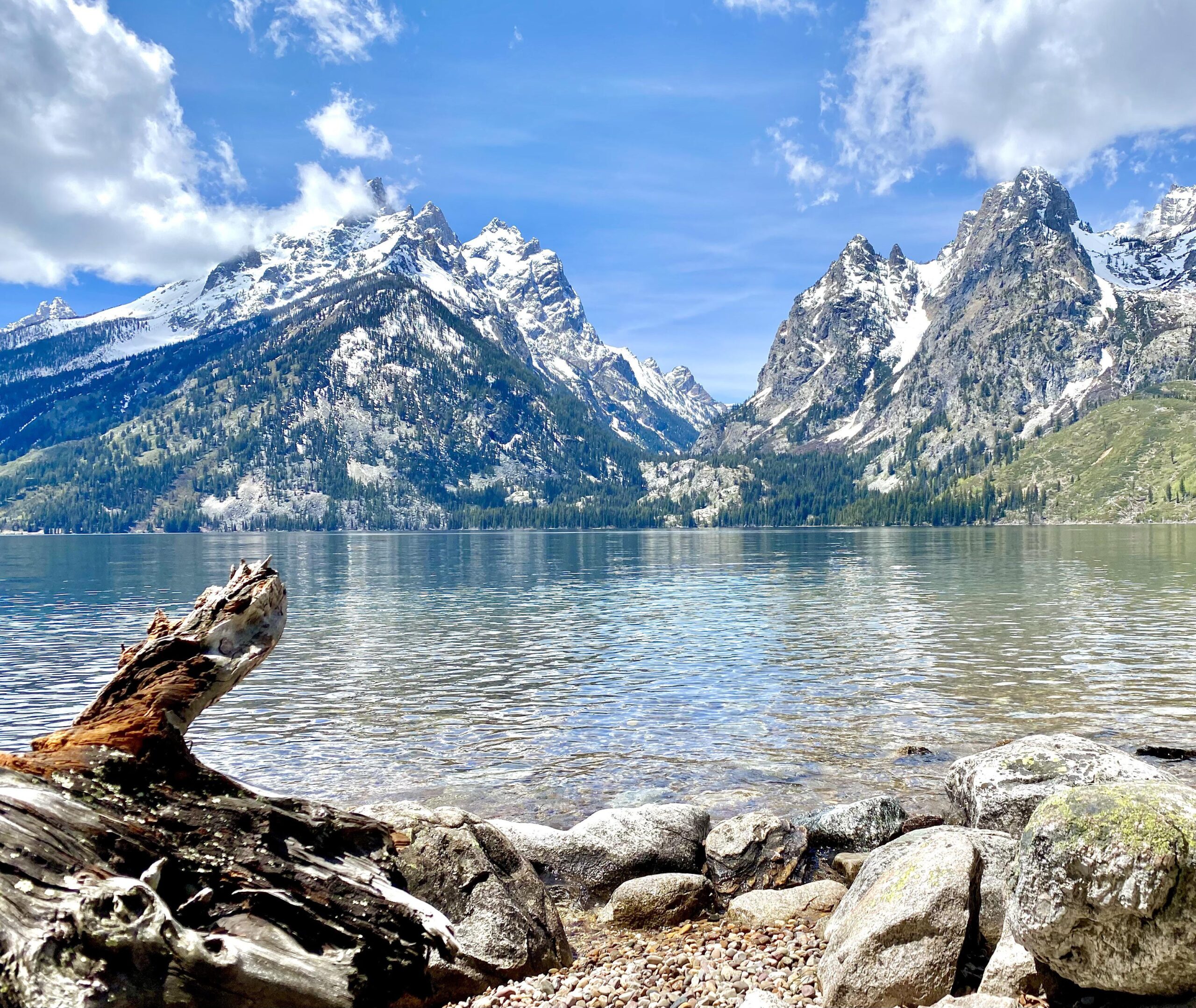 Jenny Lake At Grand Teton National Park La Vie Zine Jenny Lake At Grand Teton National Park La Vie Zine