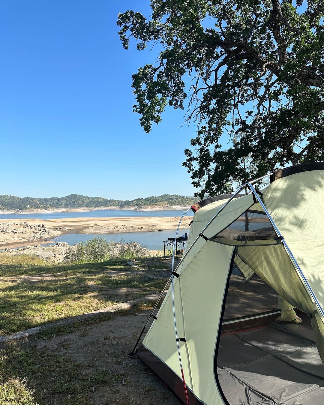 Camping at Millerton Lake, CA with Husky and Shepsky La Vie Zine