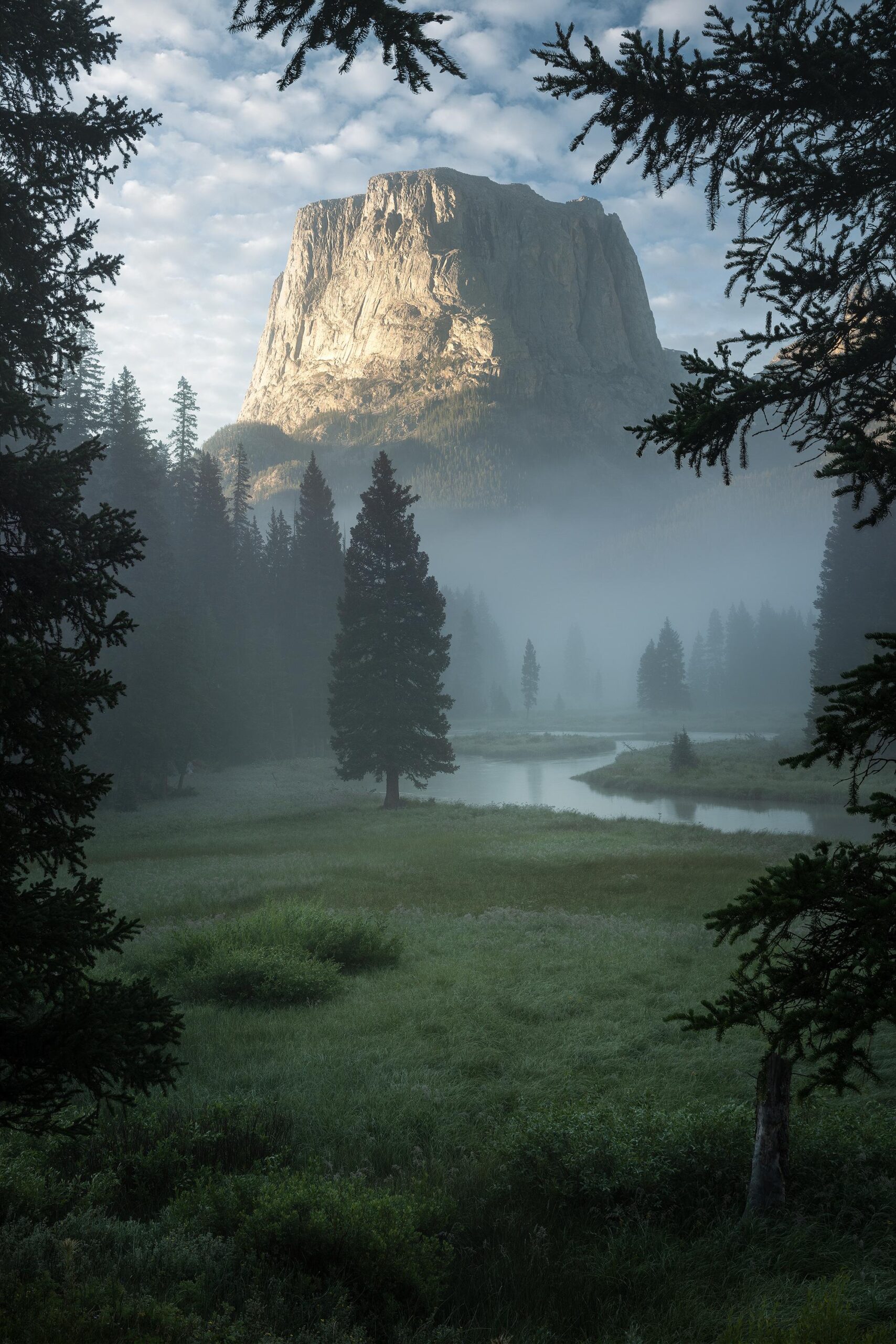 A misty morning along the Green River, Wyoming, USA. [2002x3000]. [OC