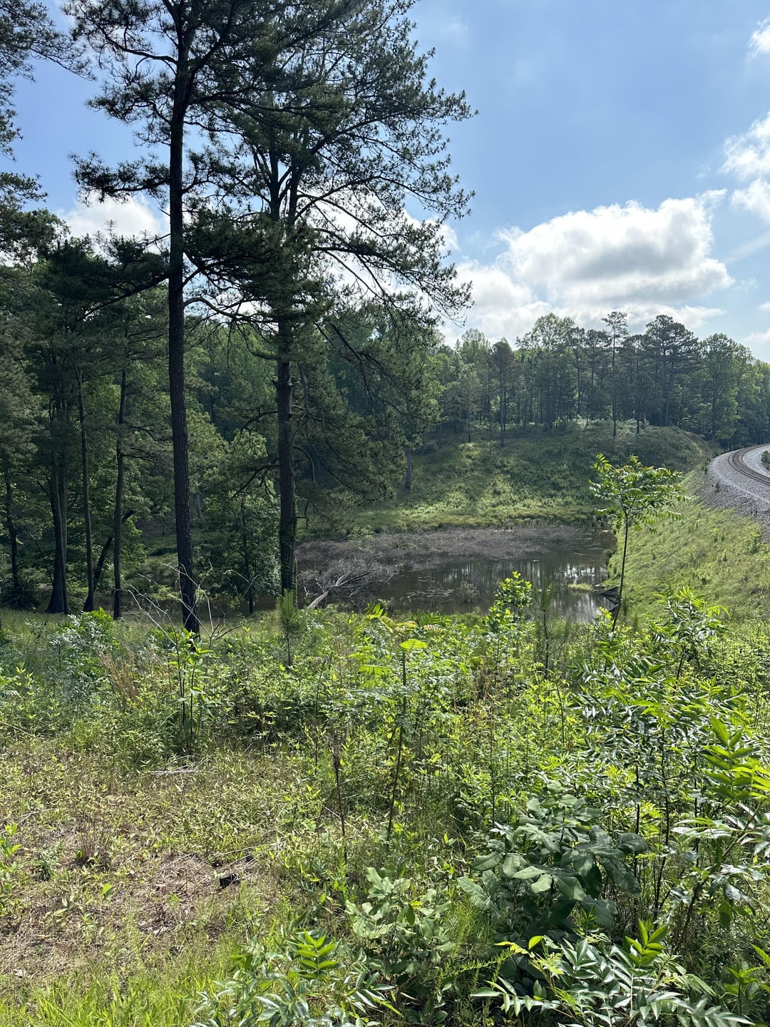 Hiked the Pinhoti trail Heflin spur today! Heflin, Alabama, USA. La
