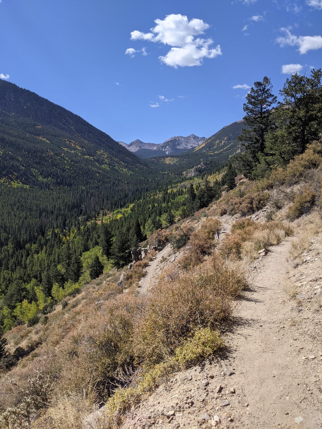Harvard Lake Trail, Colorado La Vie Zine