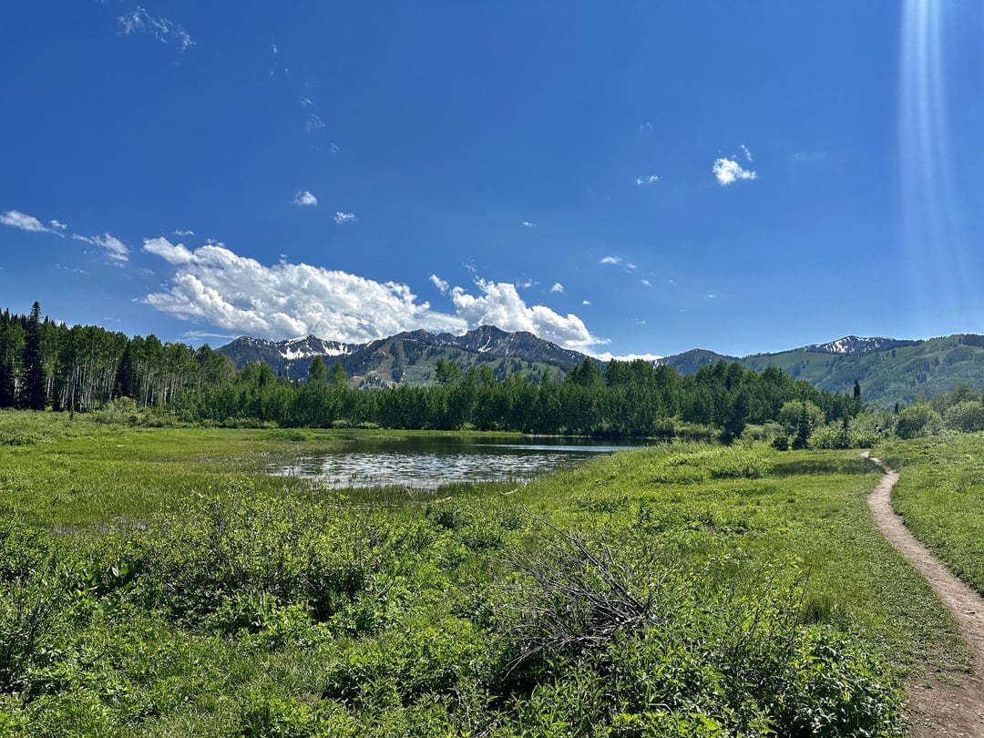 Willow Lake Trail, Big Cottonwood Canyon, Utah, USA La Vie Zine