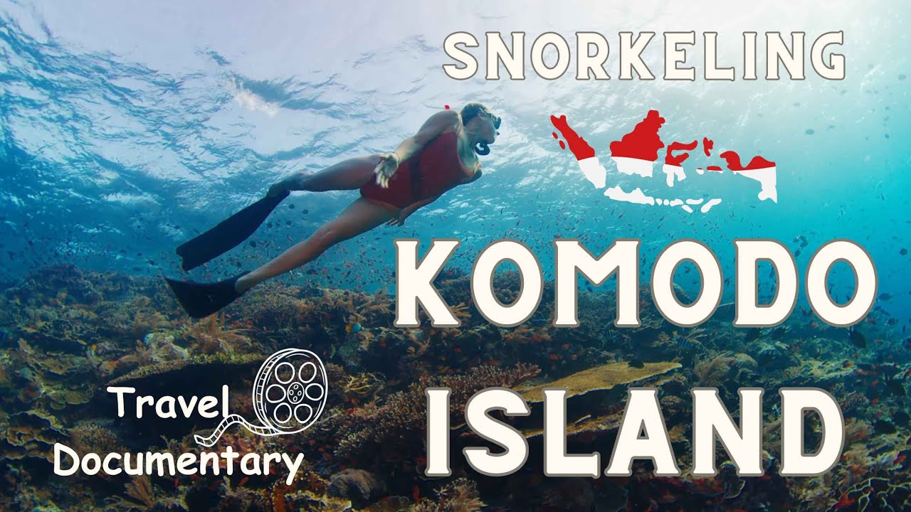 Snorkeling In Komodo National Park: The Most Beautiful Underwater ...