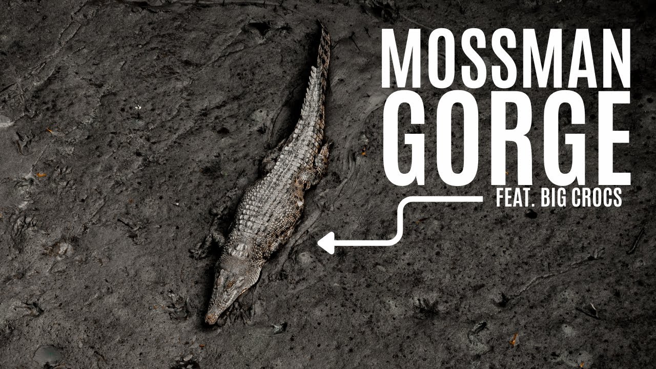 43 Australia Lap IS MOSSMAN WORTH IT? Watch and find out! La Vie Zine