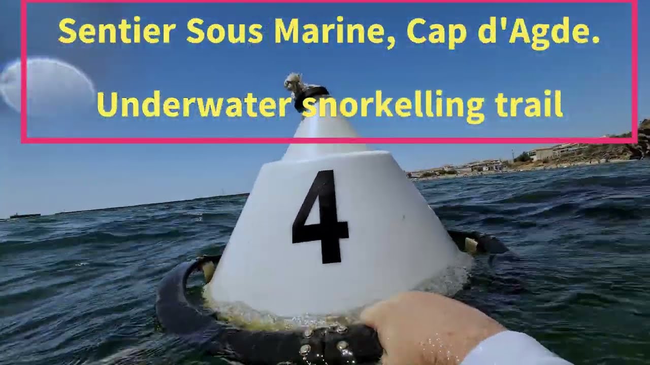 Fish Sentiar Sentier Sous-Marine, Cap d'Agde, France. Underwater snorkelling trail ...