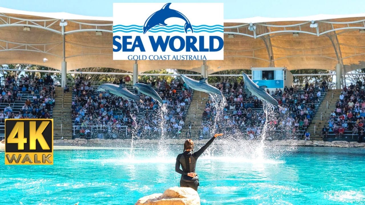 Seaworld Gold Coast, Australia 🇦🇺 4K Walk Tour La Vie Zine