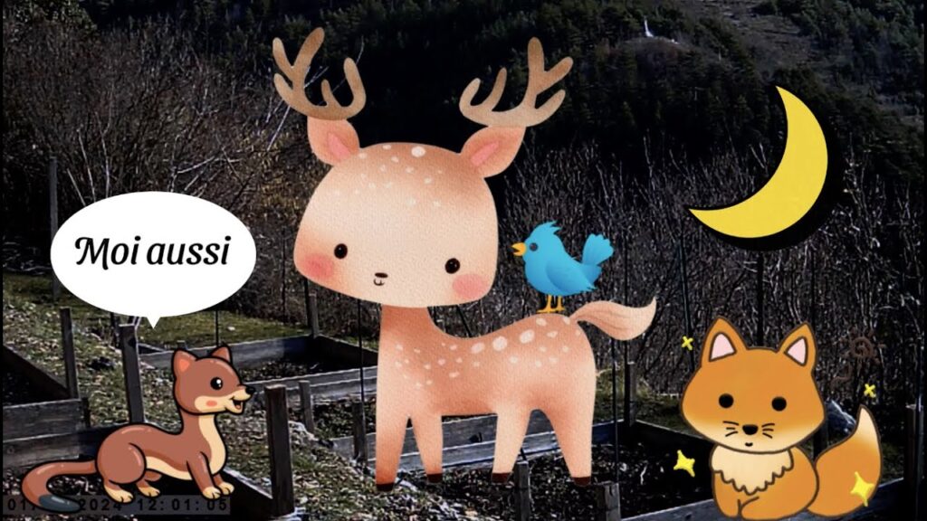 Trail cam in vegetable garden 🦌 Winter 2024 | Tende, Vallée de la Roya #trailcam #wildlife #animals Trail cam in vegetable garden 🦌 Winter 2024 | Tende, Vallée de la Roya #trailcam #wildlife #animals