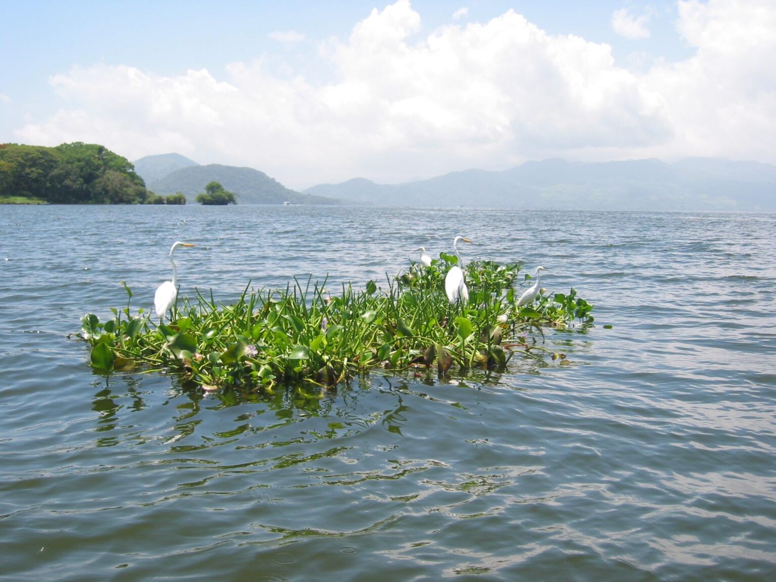 Laguna de Catemaco